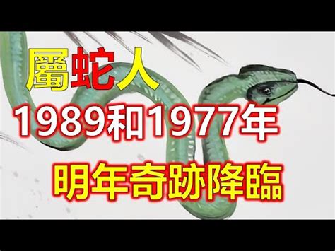 土蛇 1989|1989属蛇的五行 1989年属蛇蛇是什么命